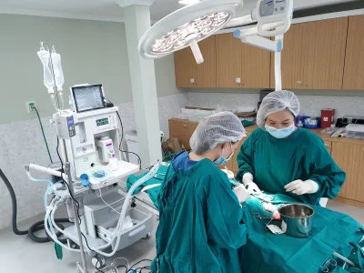 Monster Care Animal Hospital