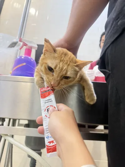 Animal Treatment Clinic