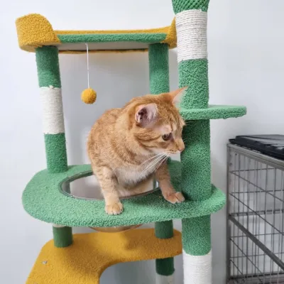 LIPHON ANIMAL CLINIC