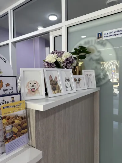 102 Pet Clinic (Dr.Peace)