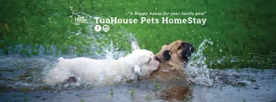 TuaHouse Pets HomeStay