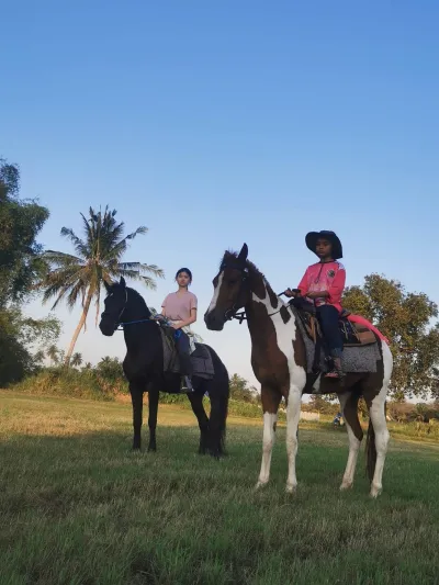Asha Horse Riding Stable Twilight Show