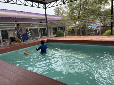 D-Dog house & pool rayong