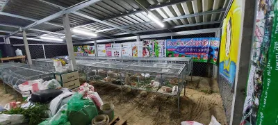 Rabbit farm Rayong
