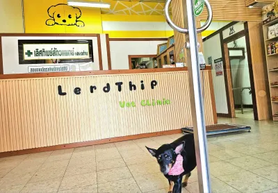 Lerthip Klong Dan Veterinarian