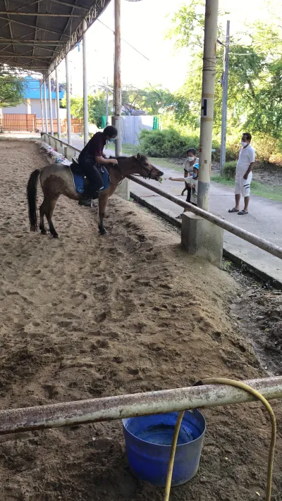 Location: Horse riding lessons Bang Phli Horse Stable House