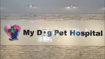 My Dog Animal Hospital