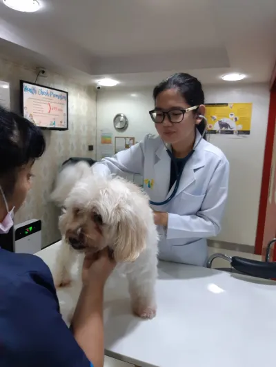 Saint Raphael Animal Hospital