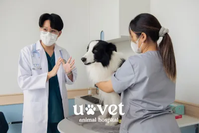 UVET Animal Hospital Bangna