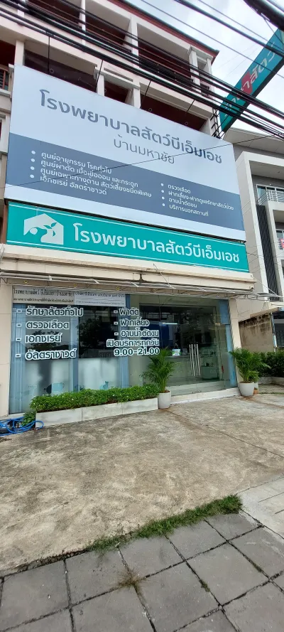BMH (mahachai) animal hospital