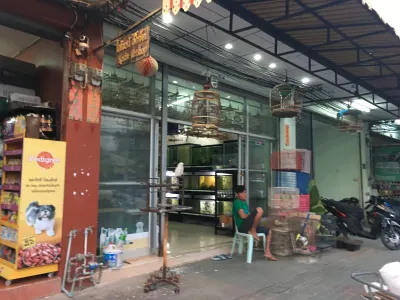 Kosin Petshop