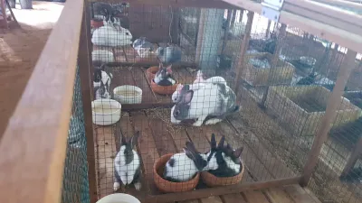 Rabbit farm, house in the mountains