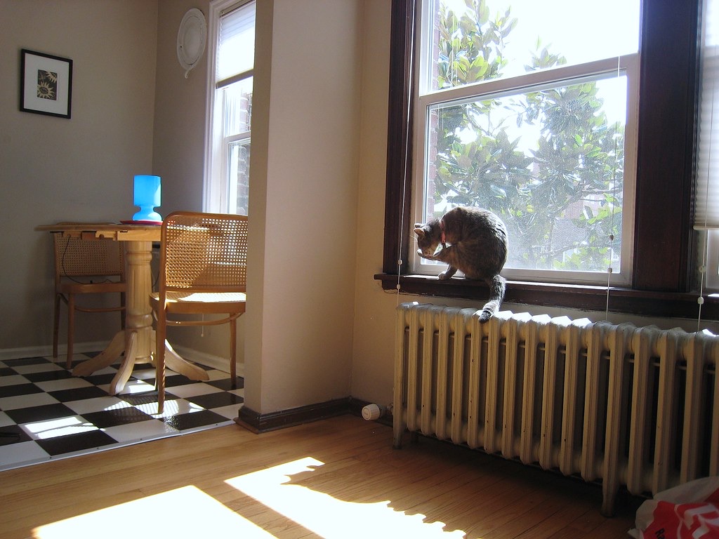 Looking for cat-friendly 1-bed in Thonglor/Ekkamai for 3 months