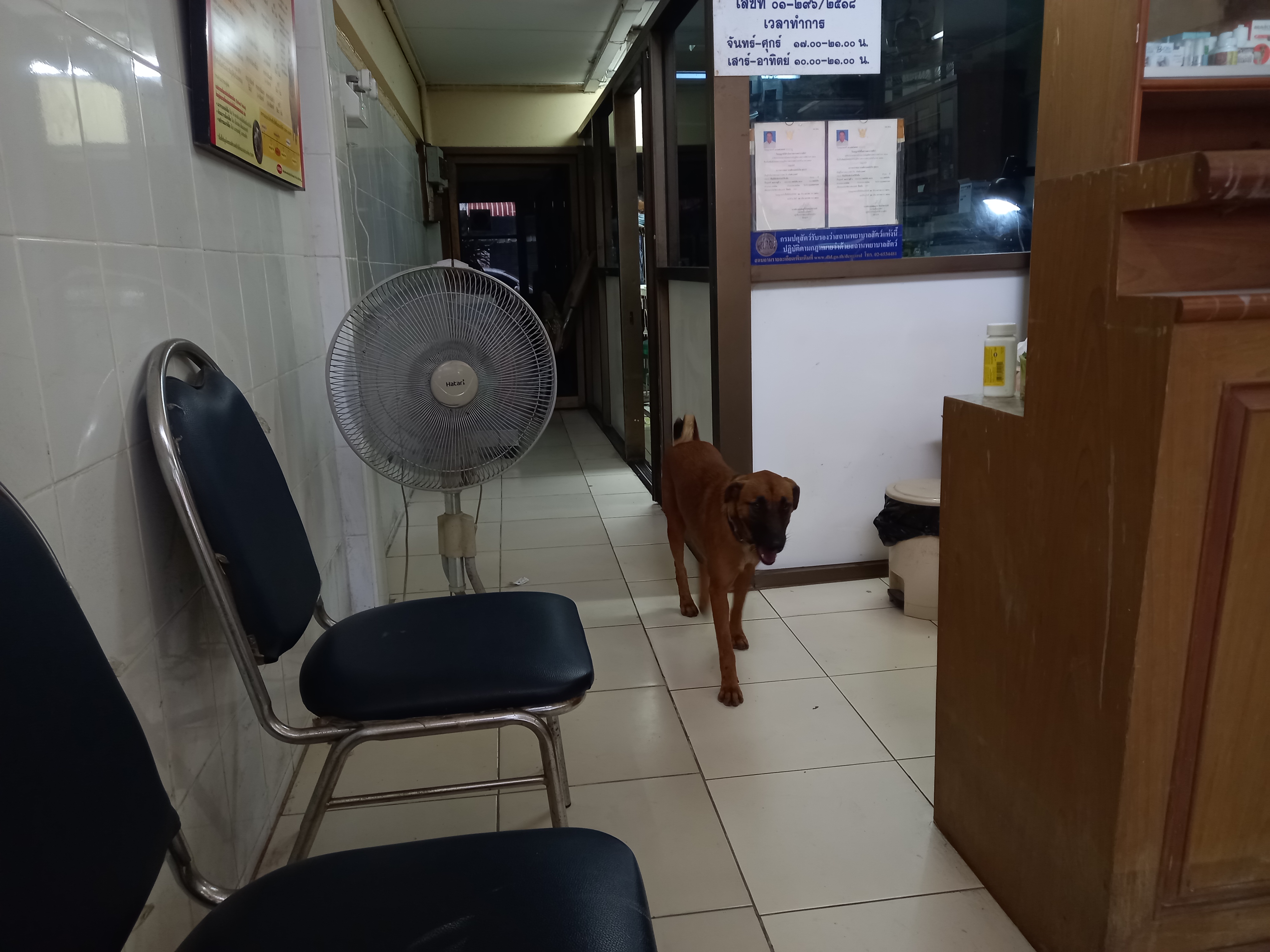 Phaholyothin Veterinary Doctor