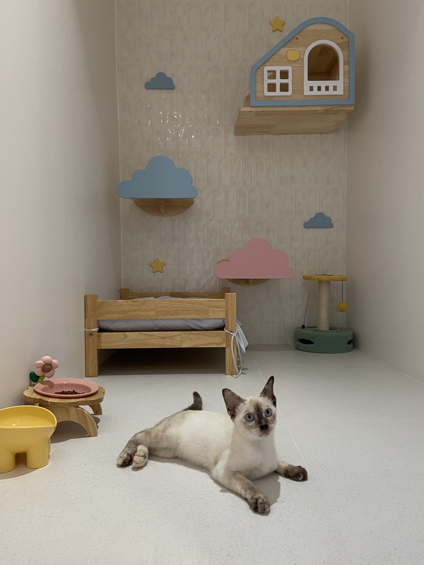 Aunjai Animal Hospital, Hua Mak Branch