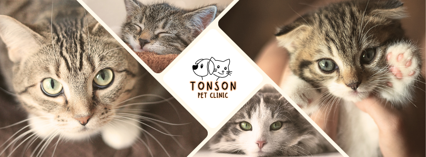 Tonson Pet Clinic