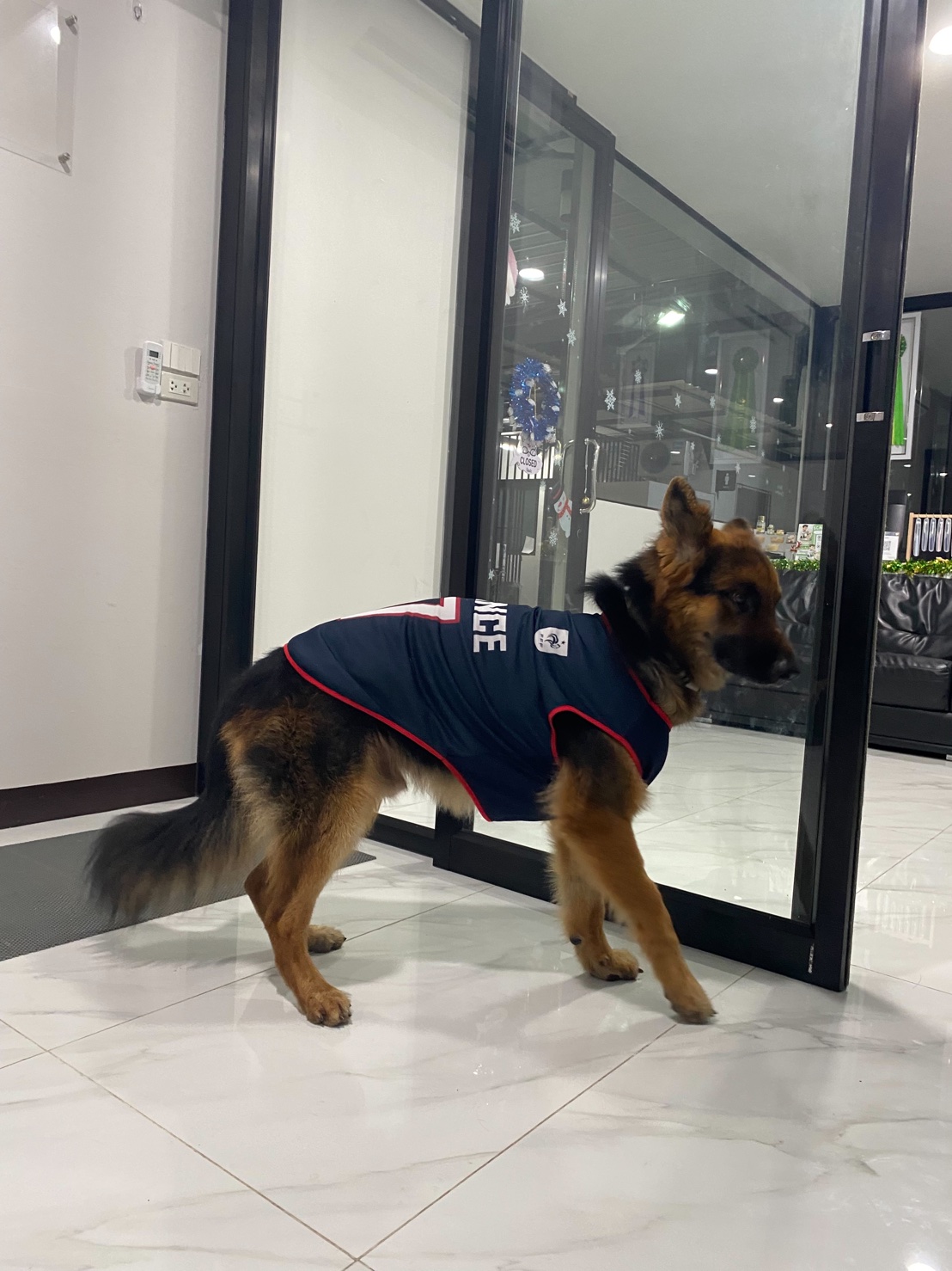 Sathorn Friends Animal Hospital