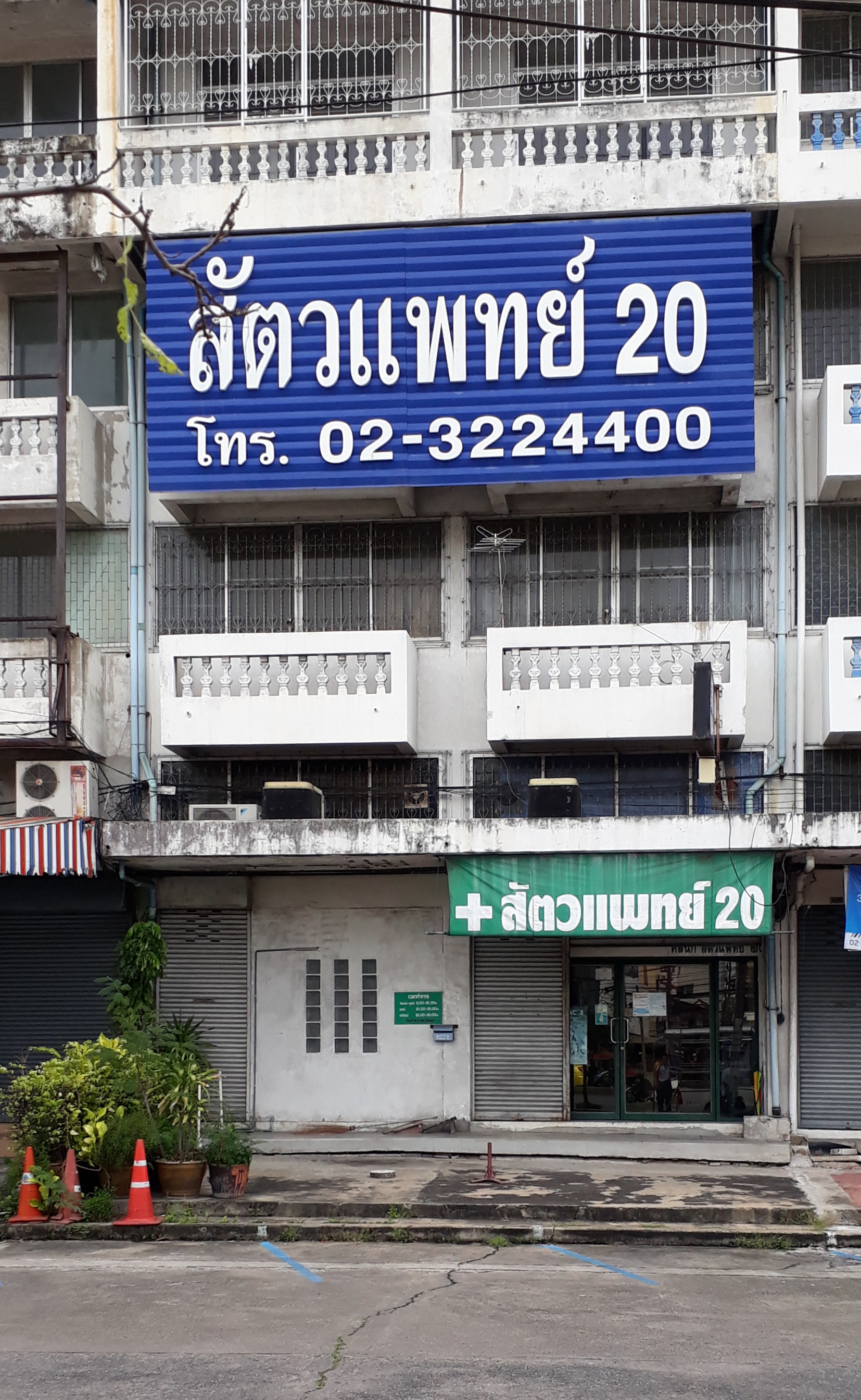 20
