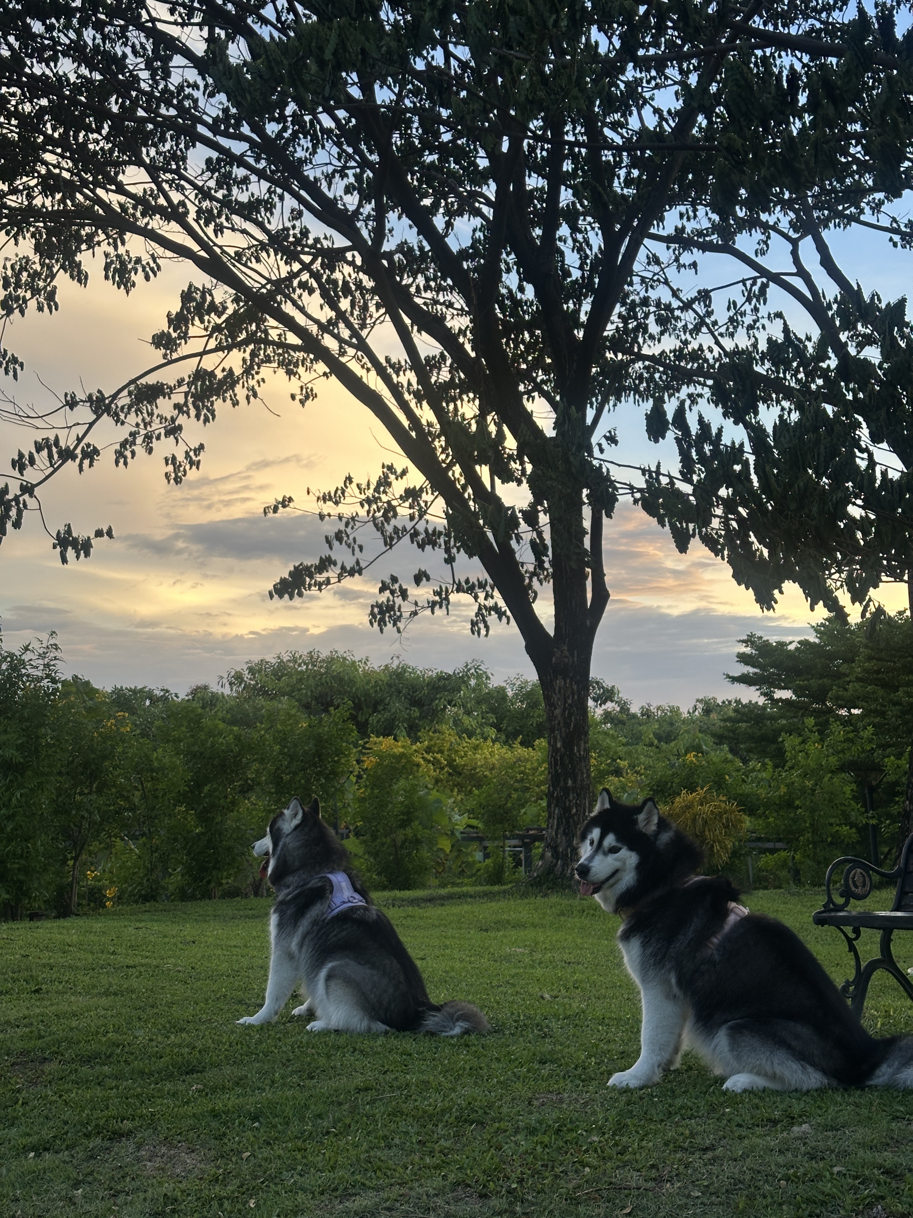 Bang Khae Phirom Park
