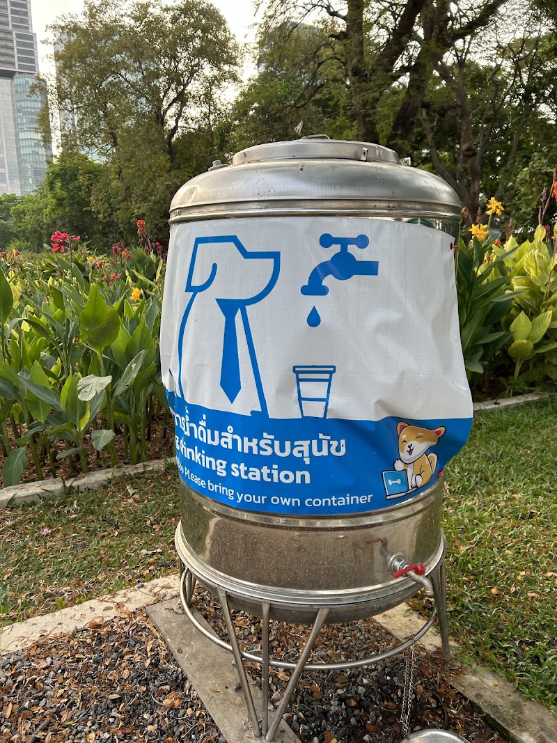 BMA Dog Park - Benjakitti