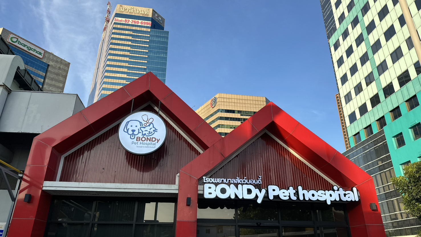 BONDy Pet Hospital Surgery center