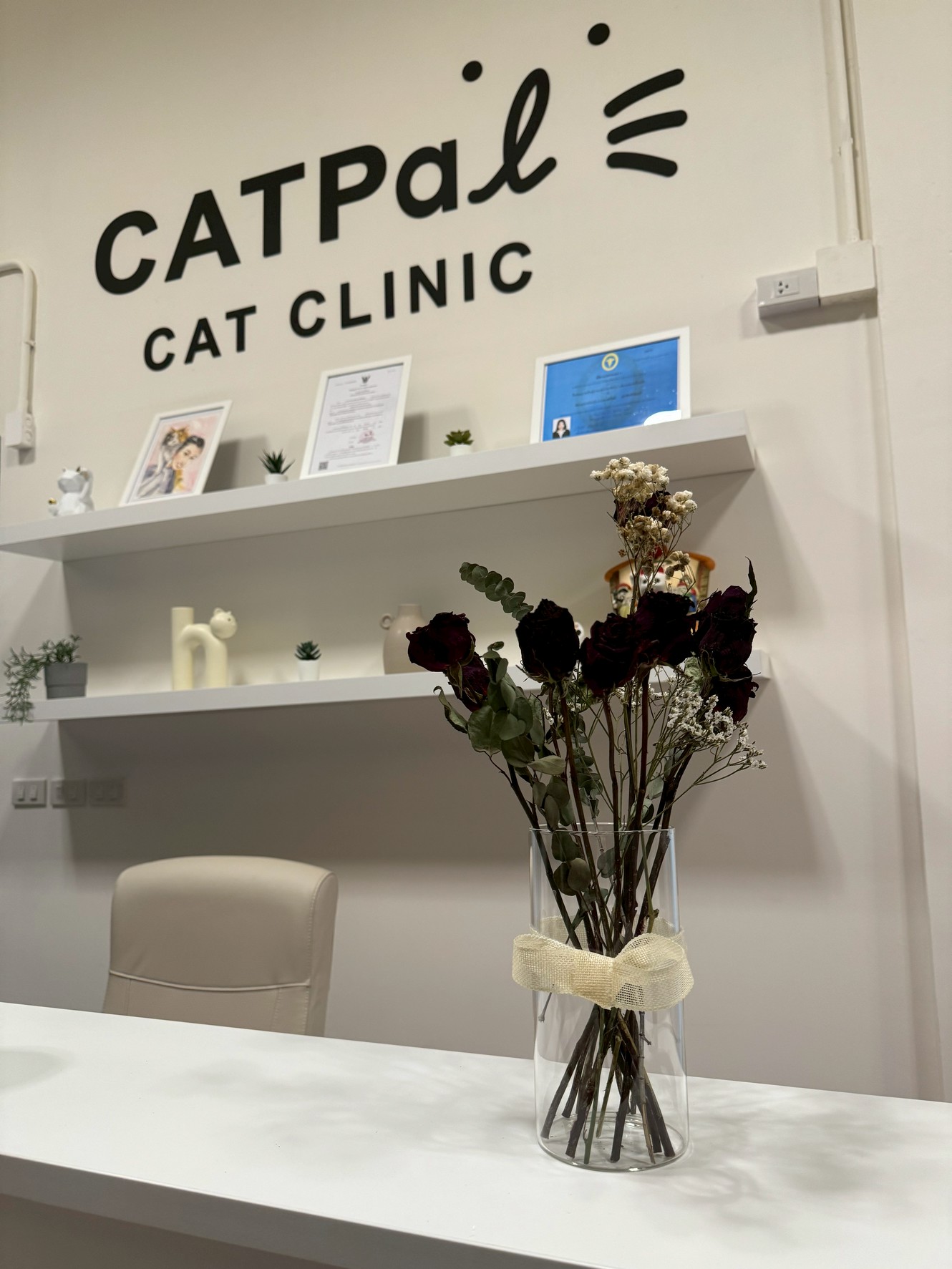 CATPAL CAT CLINIC AND HOTEL