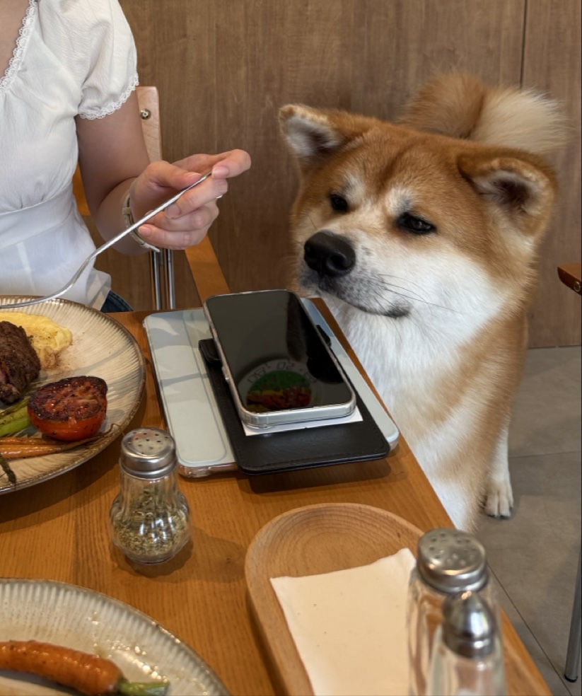 Childish Cafe