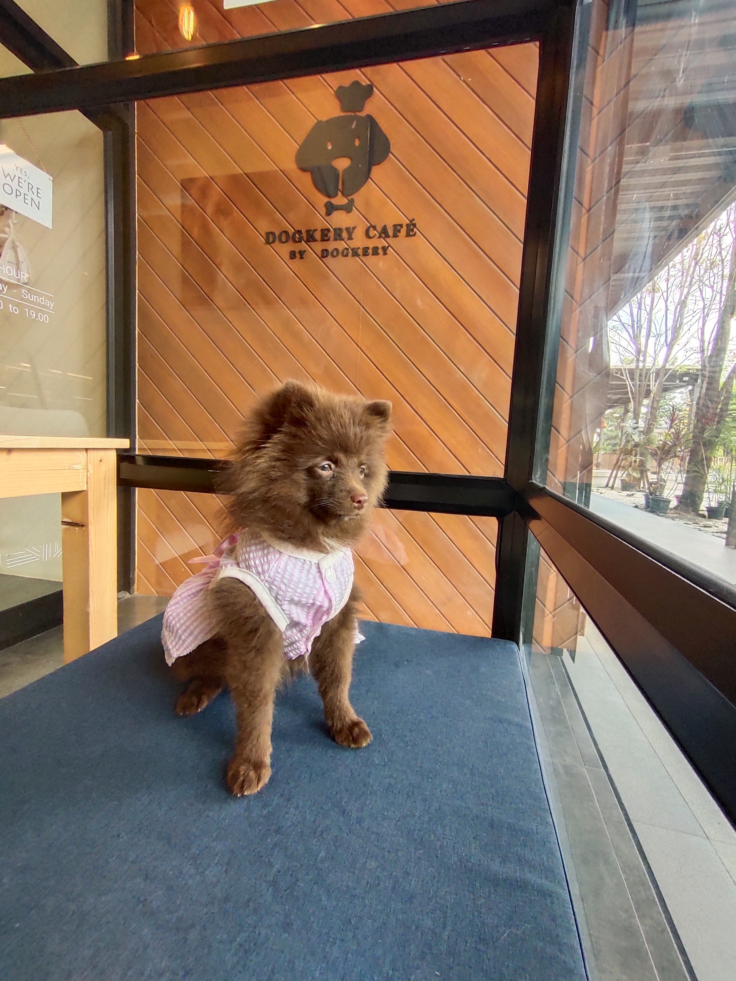 Dogkery Cafe