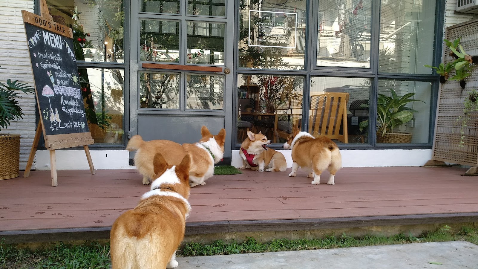 DOGS TALE Bangkok