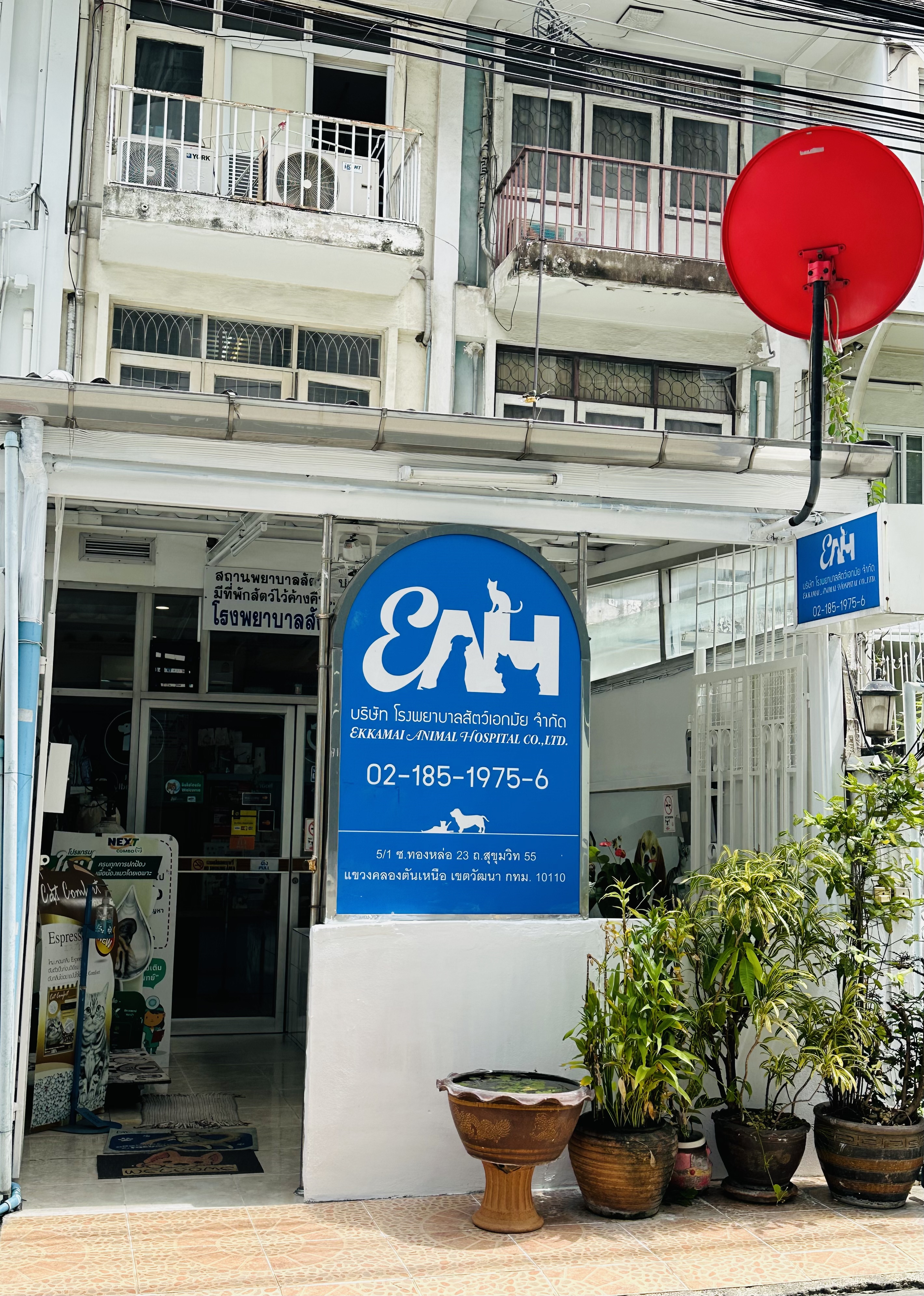 Ekkamai Animal Hospital
