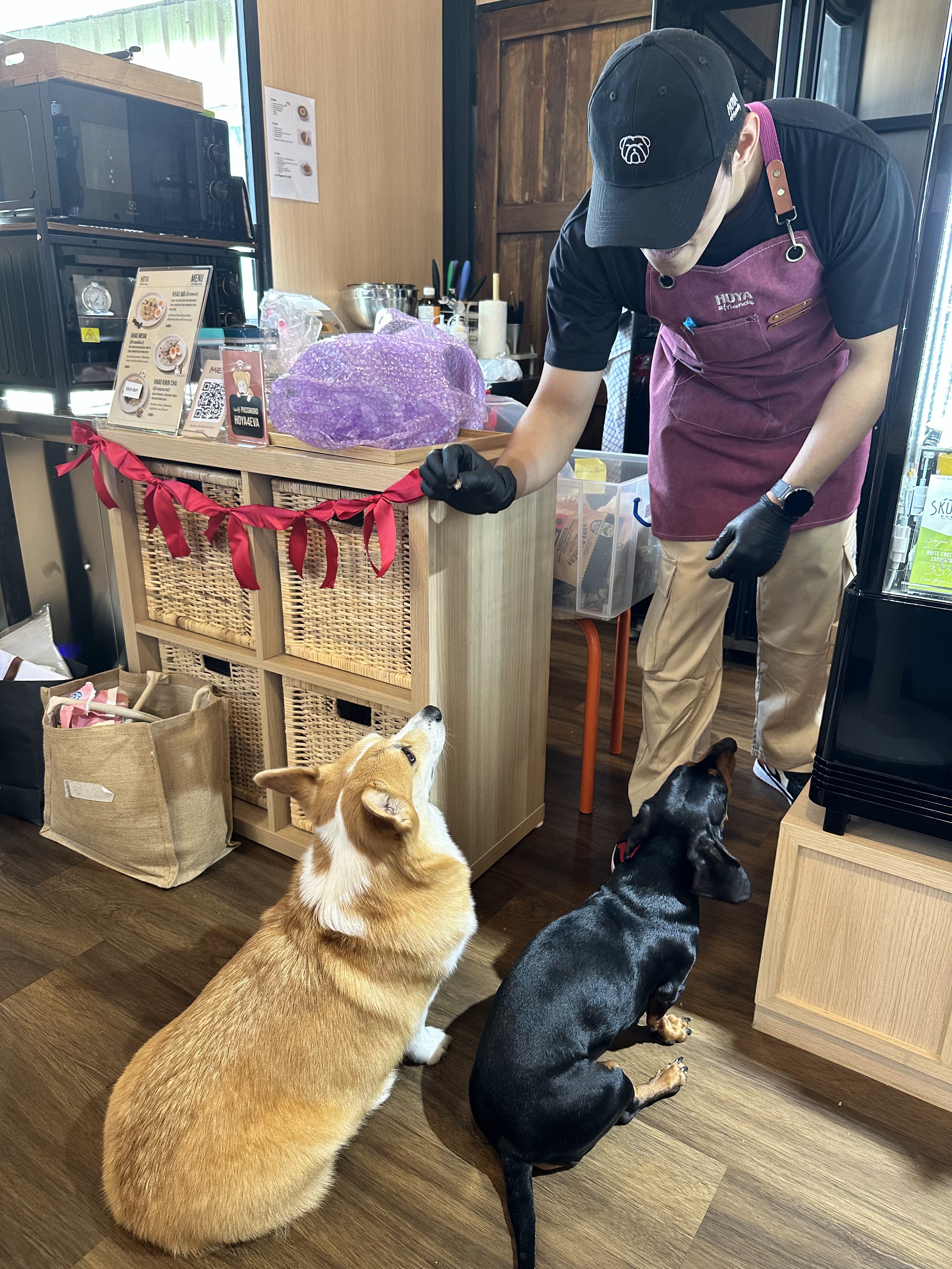 Hoya & friends Café