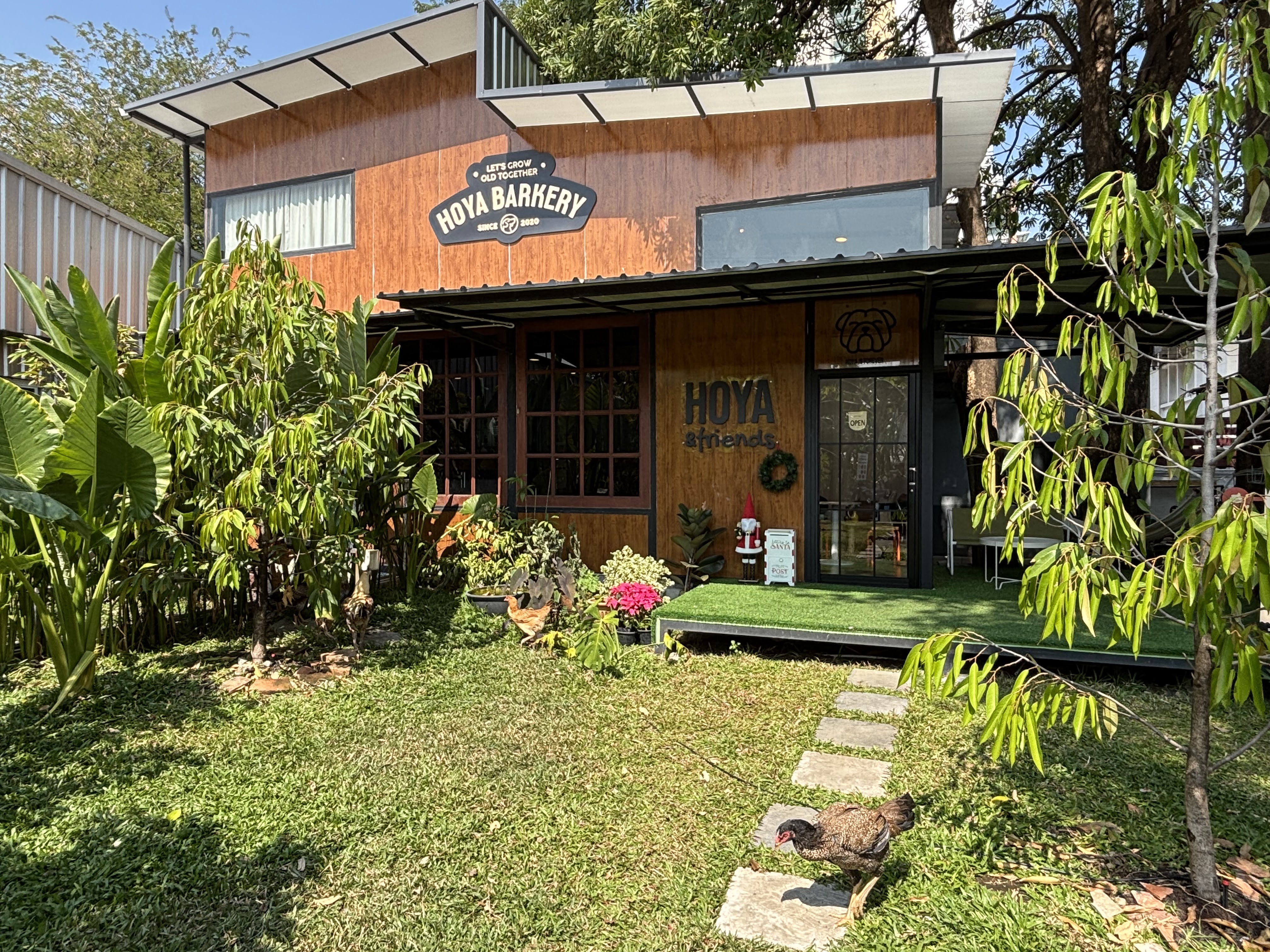 Hoya & friends Café