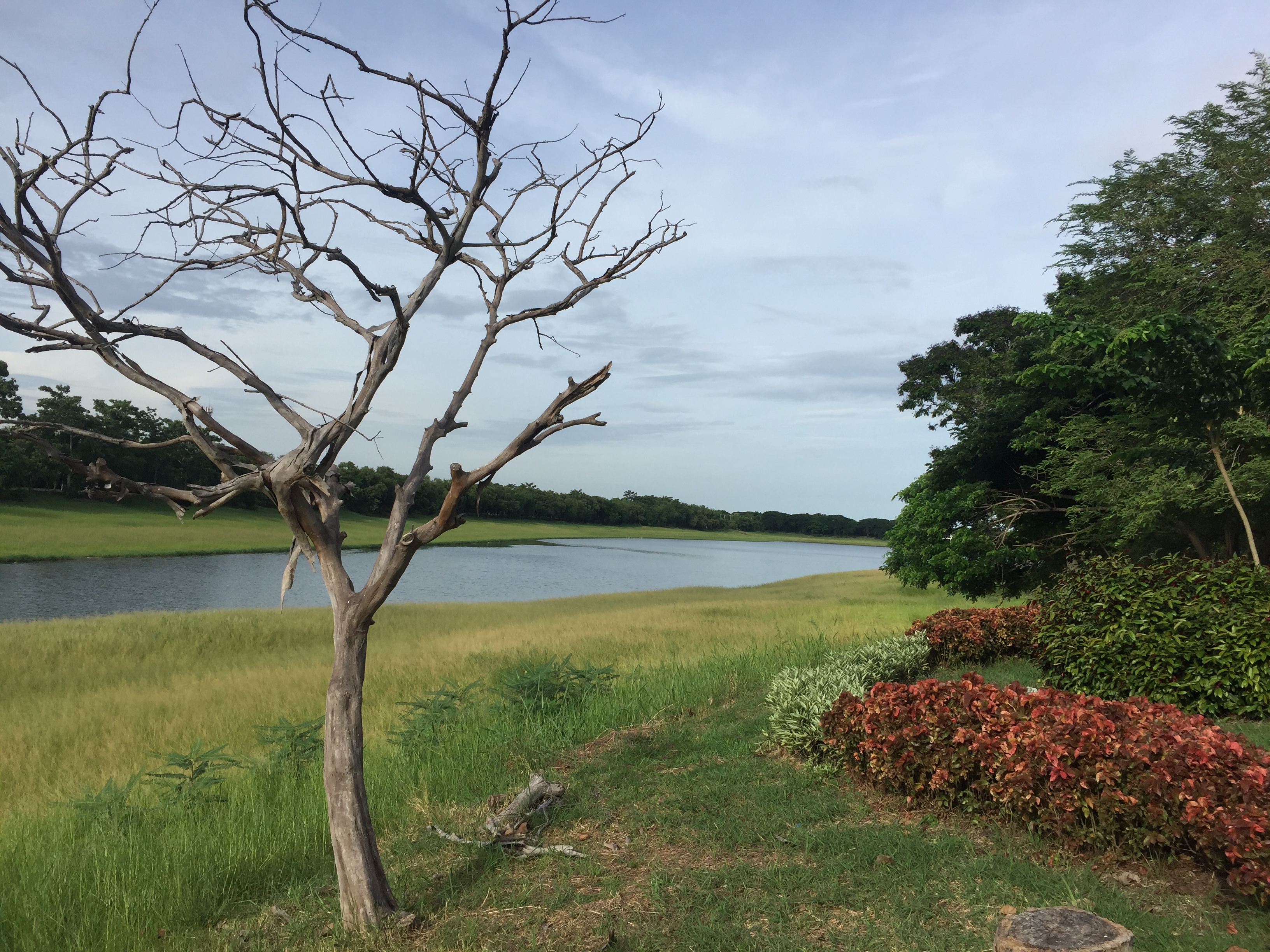 Nong Bon Lake Park