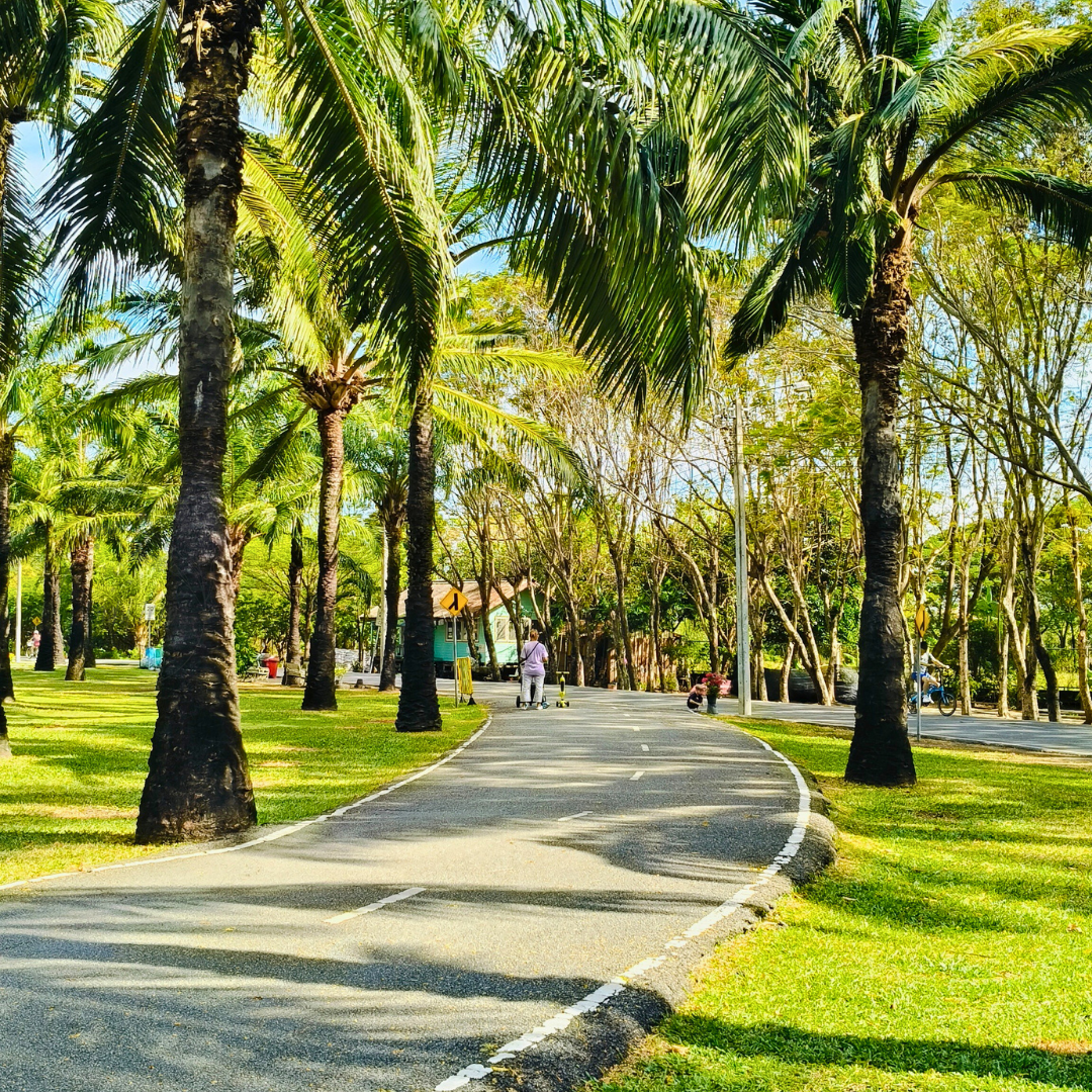 Nong Bon Lake Park