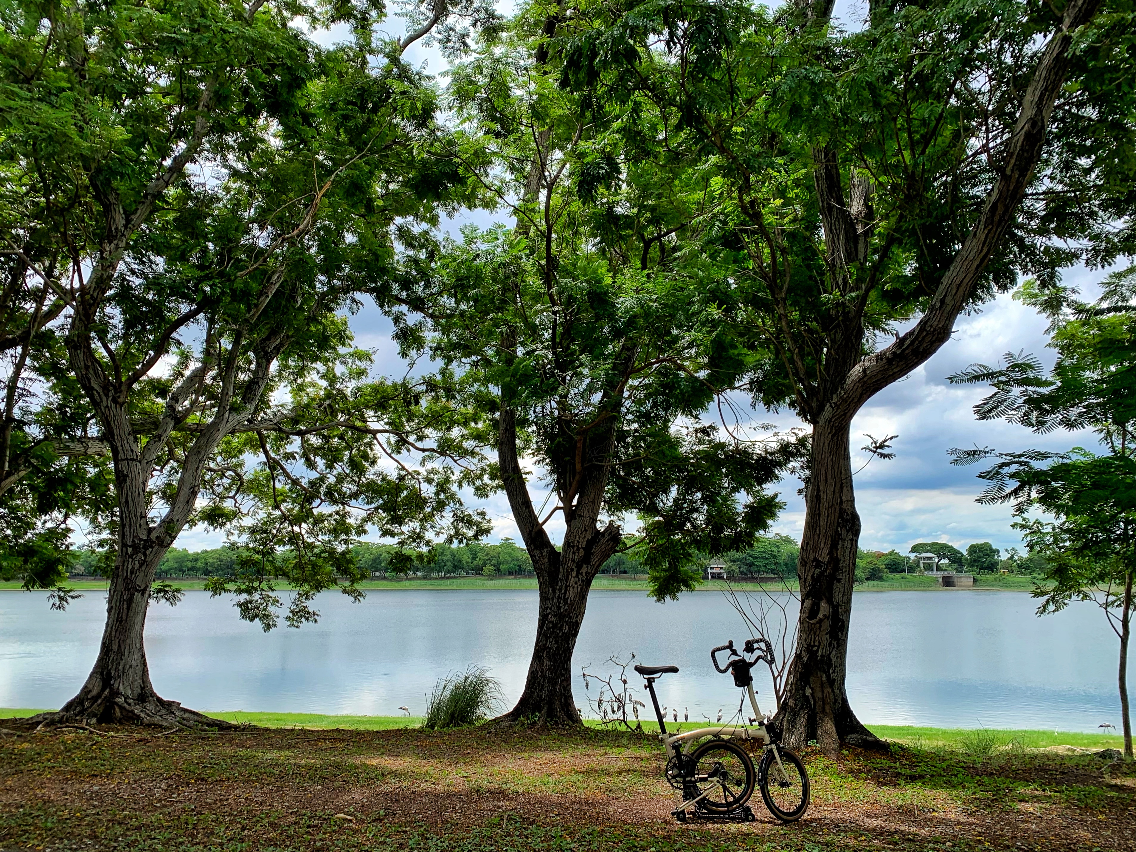 Nong Bon Lake Park