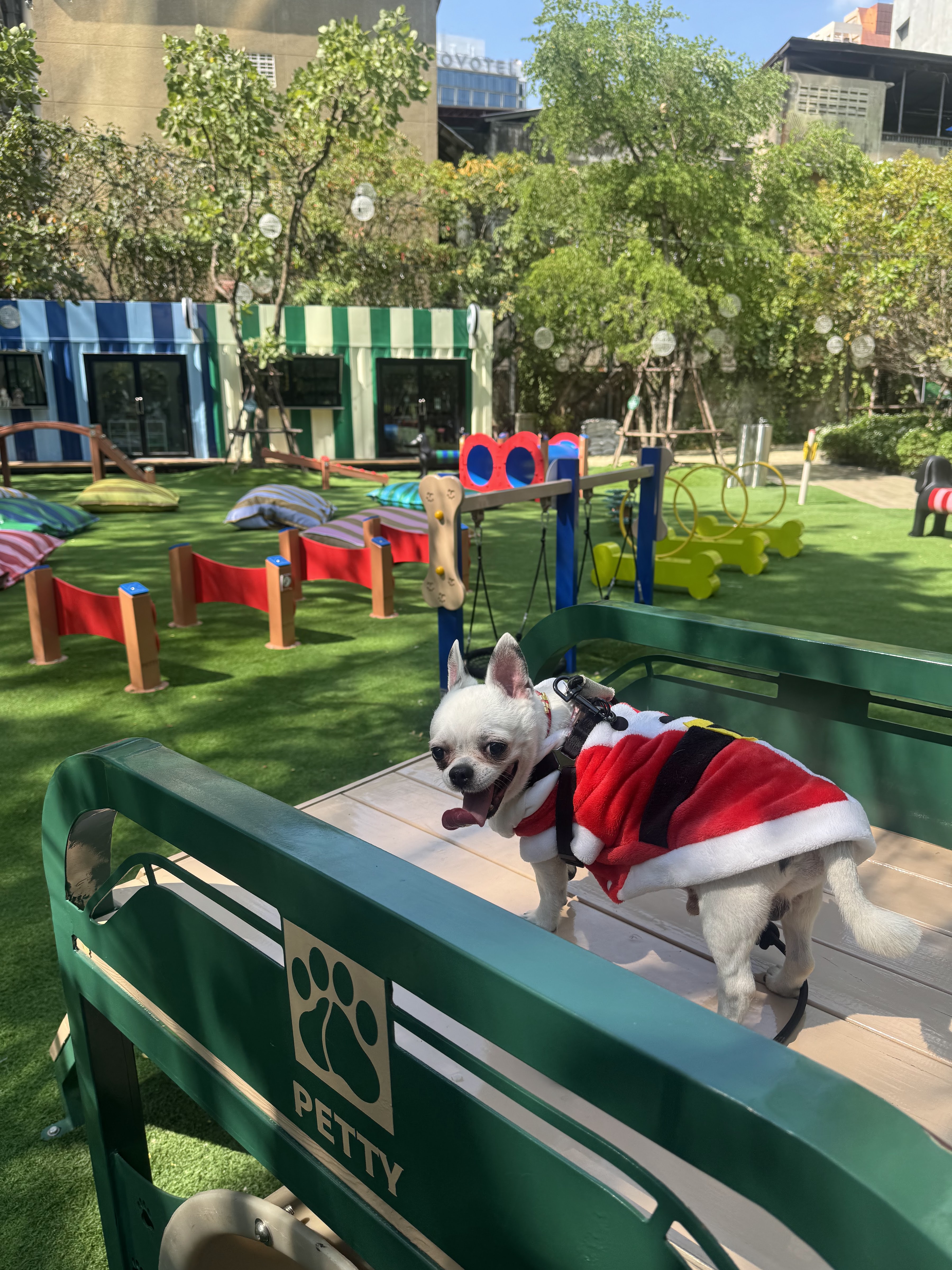 PAWYARD at EM DISTRICT