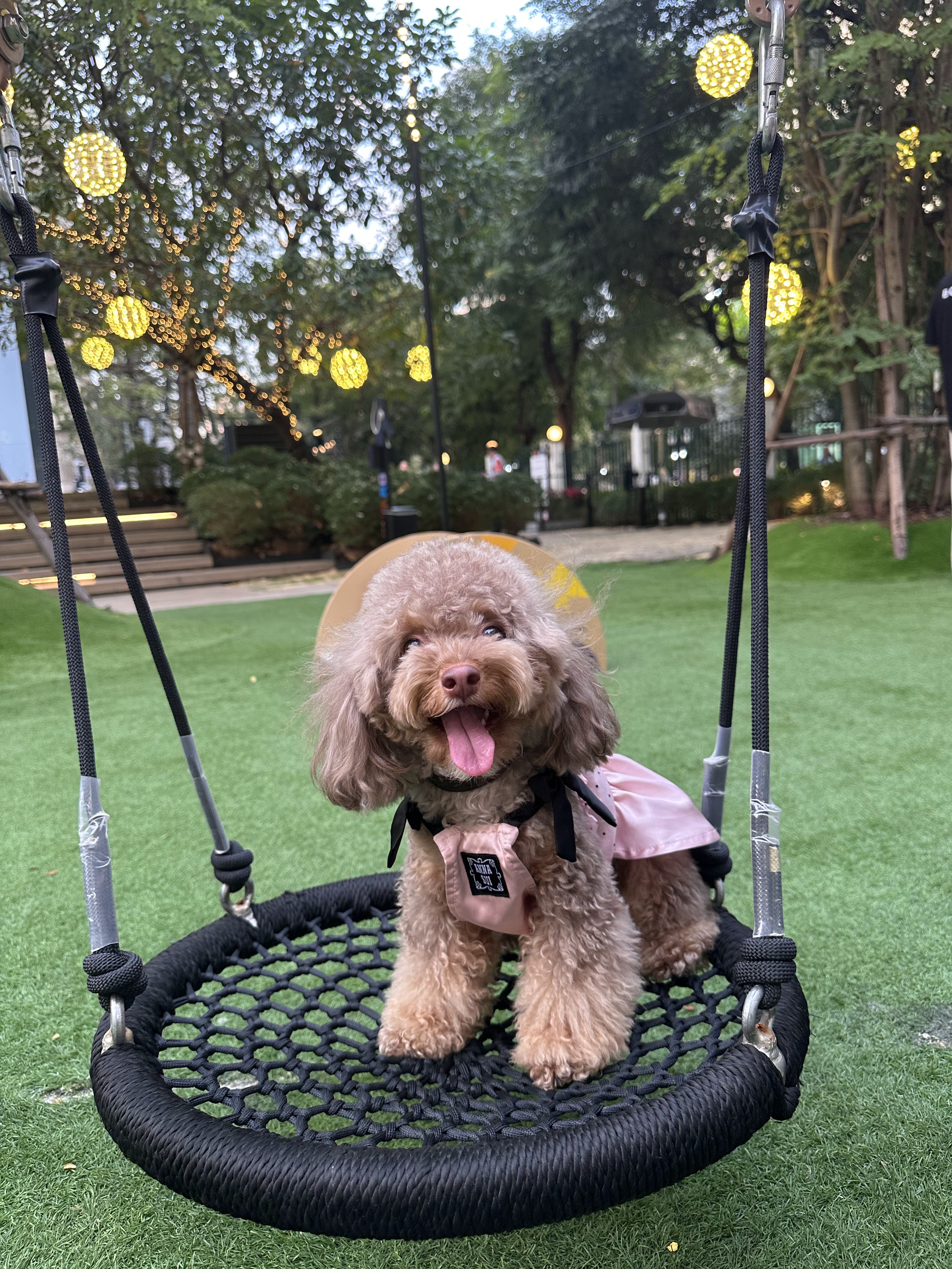 PAWYARD at EM DISTRICT