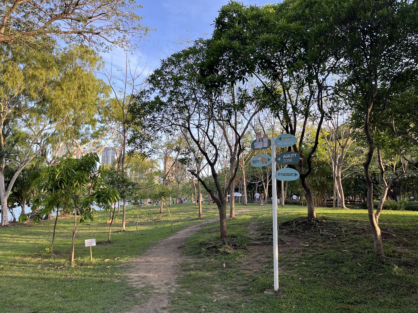 Pet Park Chatuchak