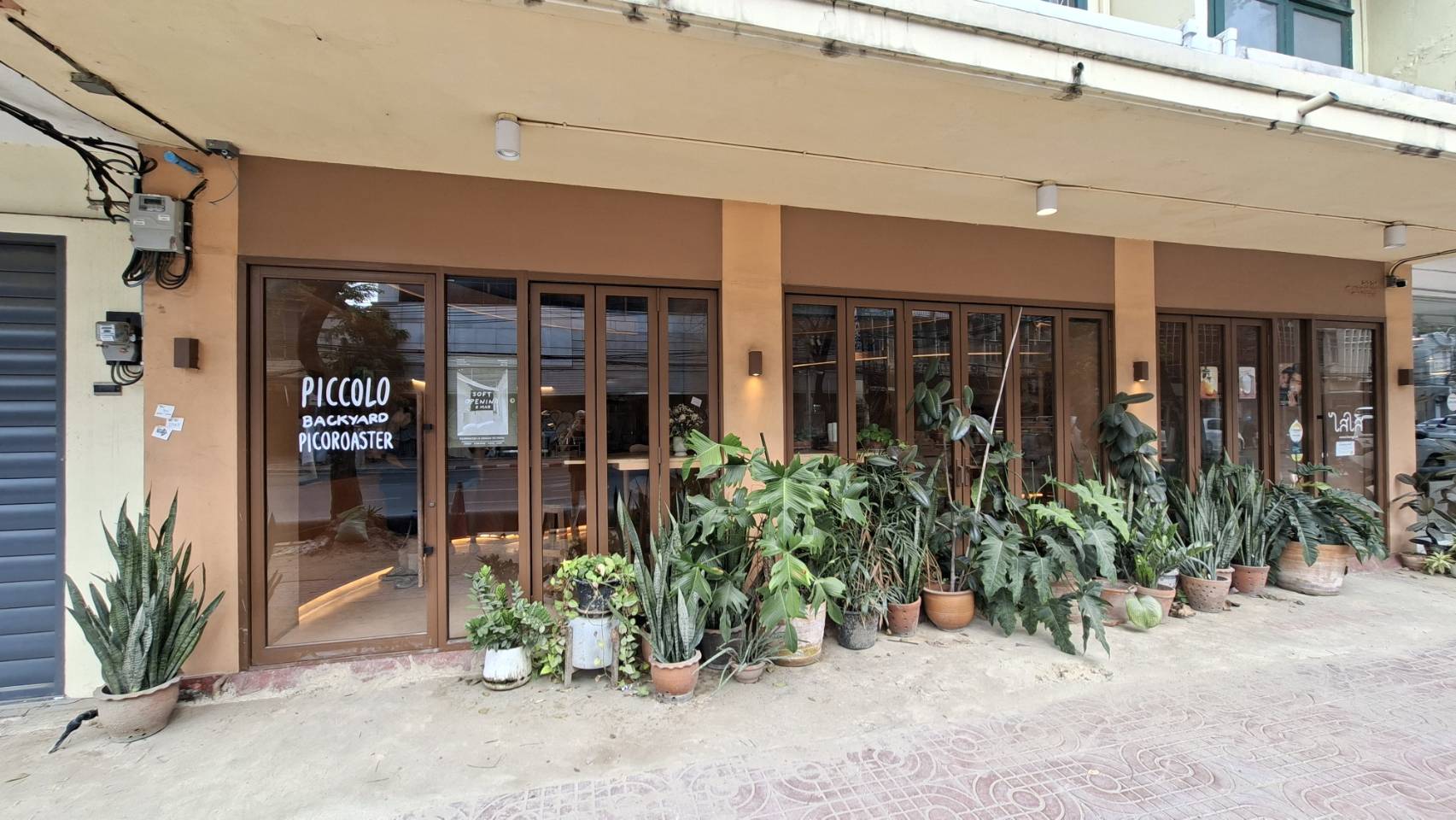 Piccolo Backyard Picoroaster - Phra Nakhon Spin Off Cafe Vintage Coffee Idea