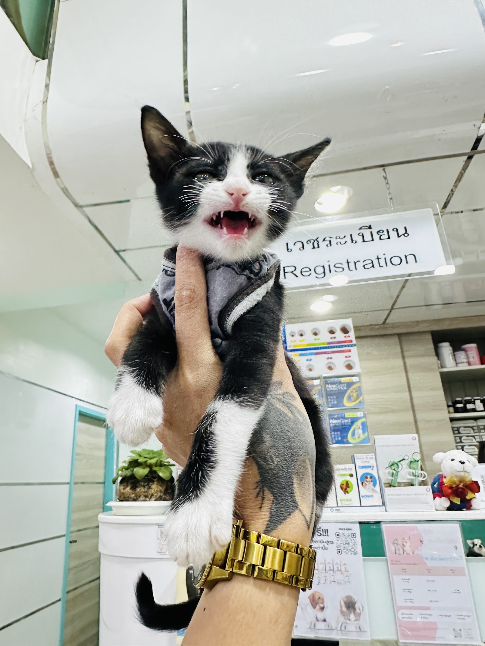 Rama 3 Animal Hospital