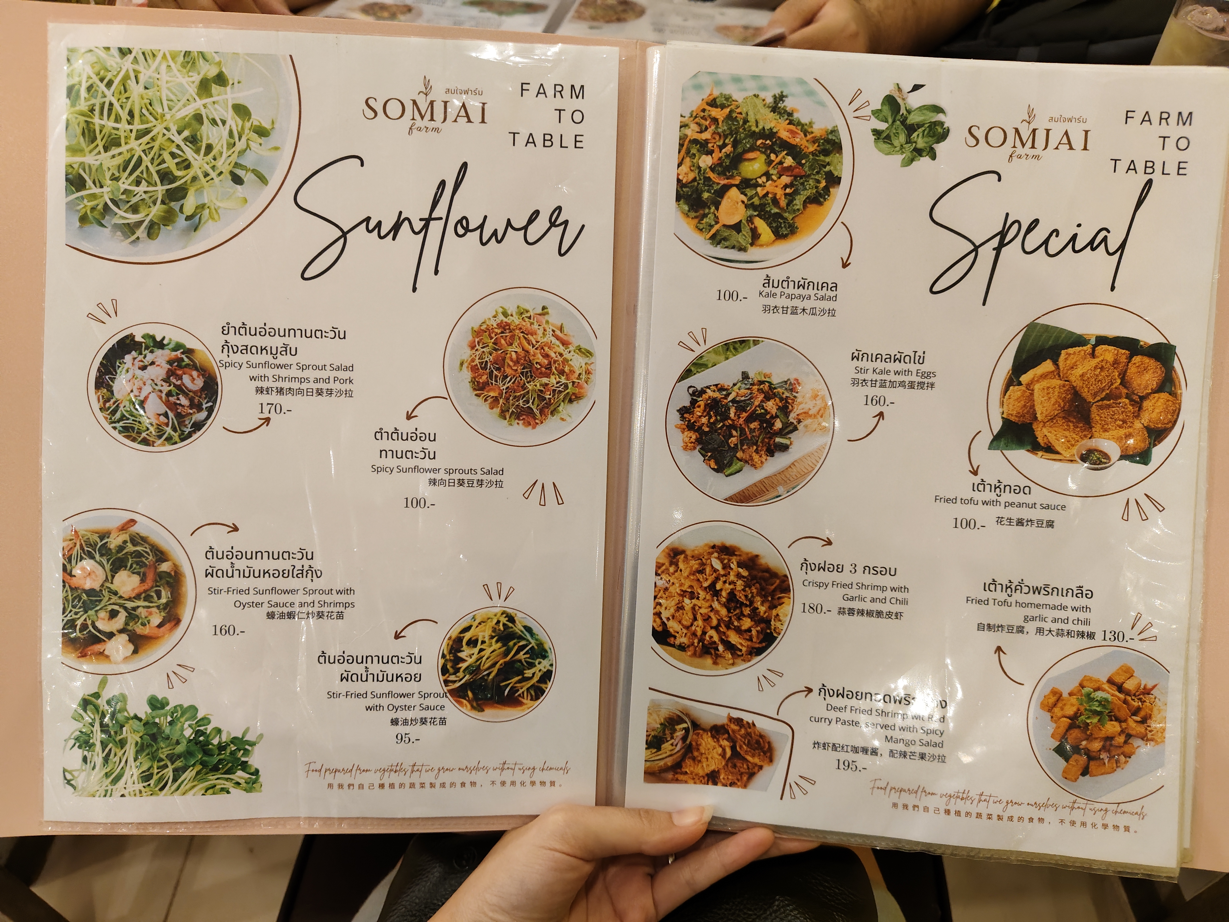 SOMJAI FARM Farm To Table Farm and Restaurants