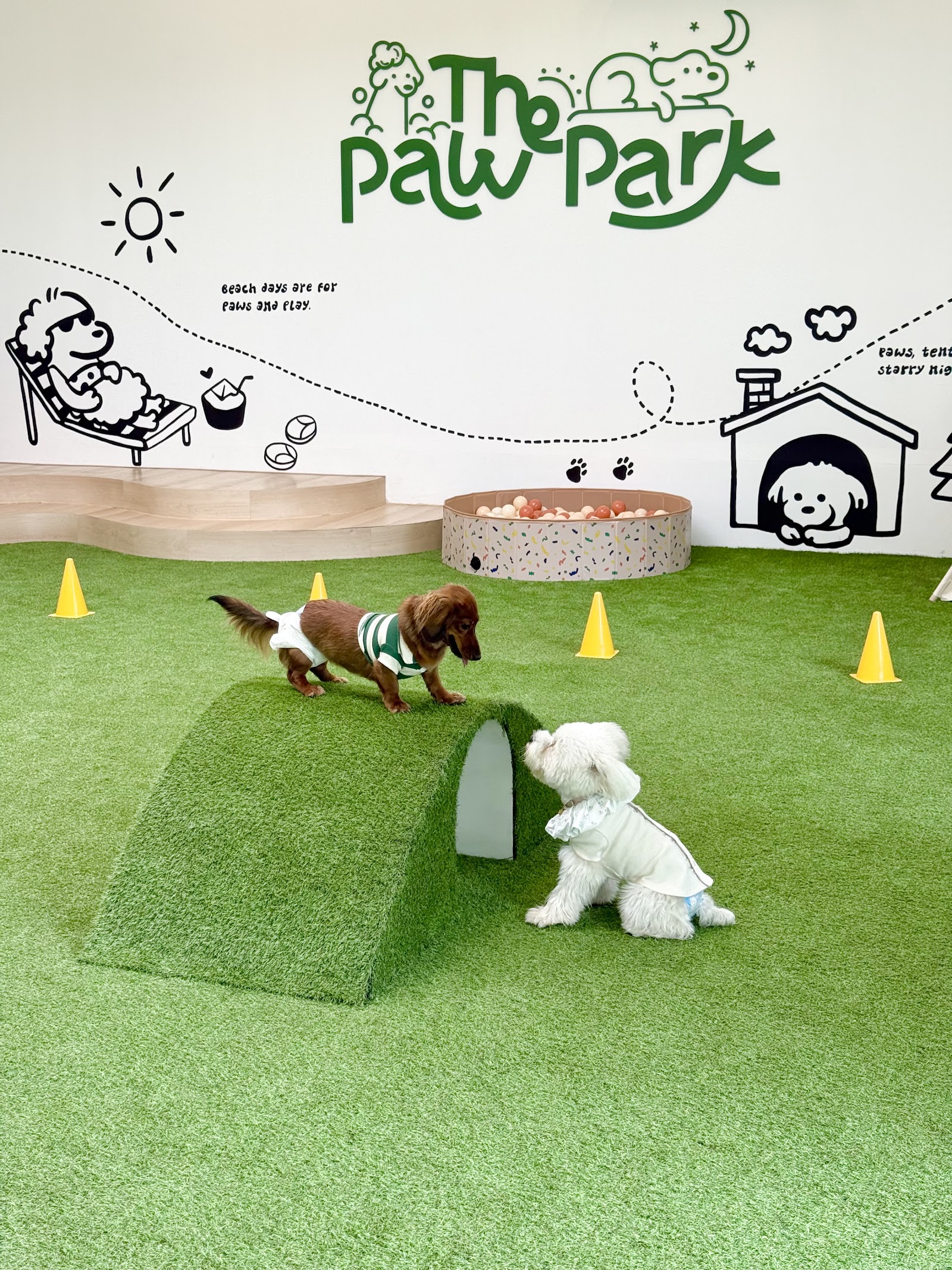 The Paw Park