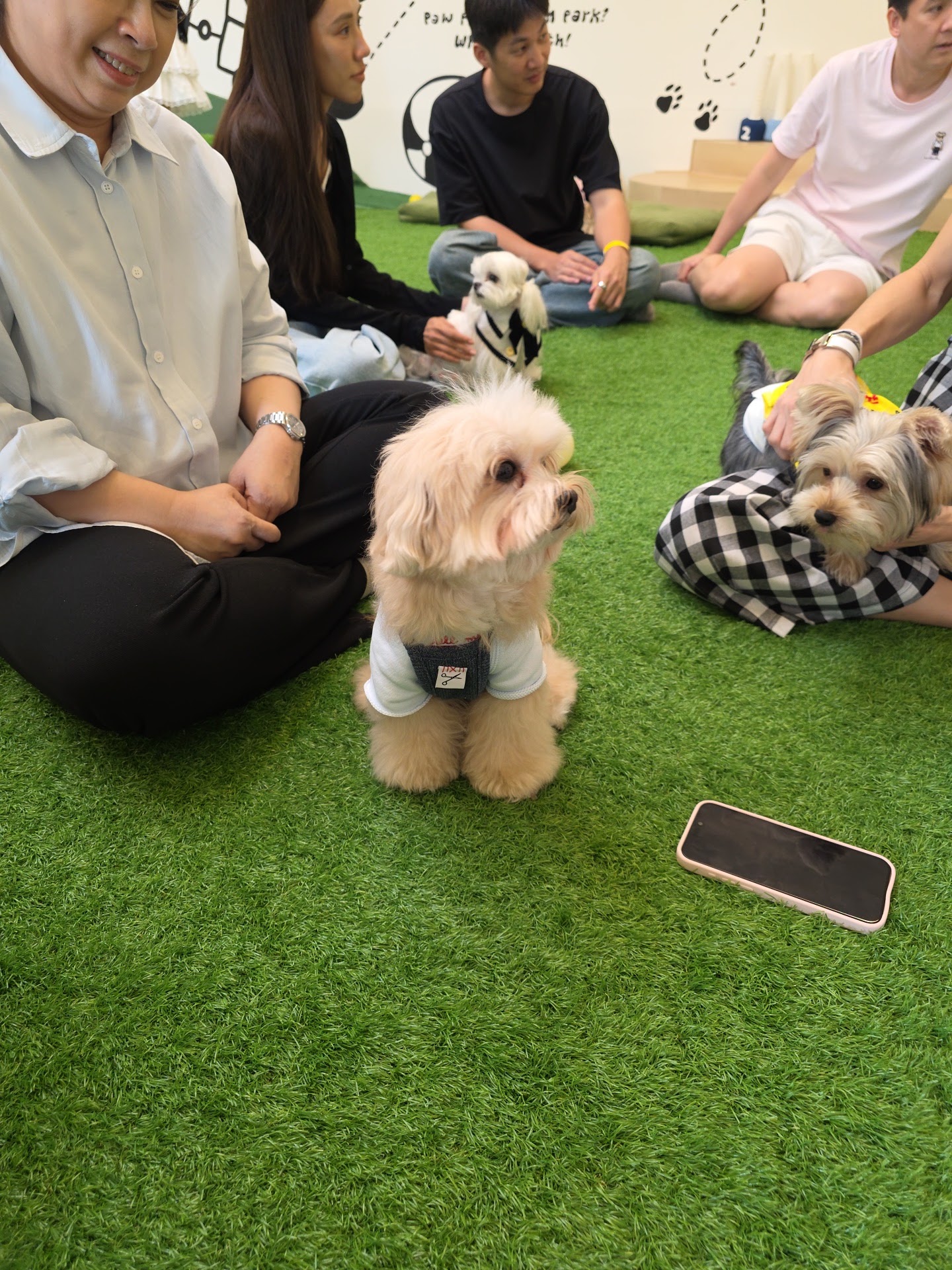 The Paw Park