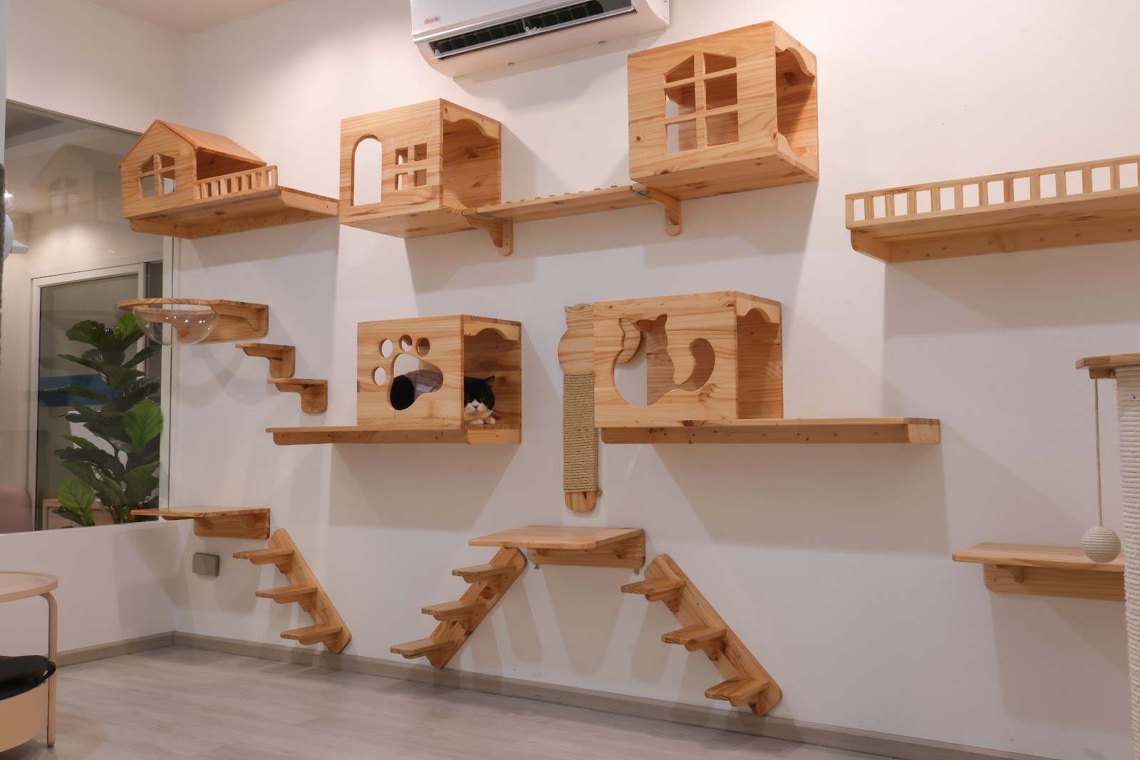 Thonglor Pet Hospital Rama 6 6