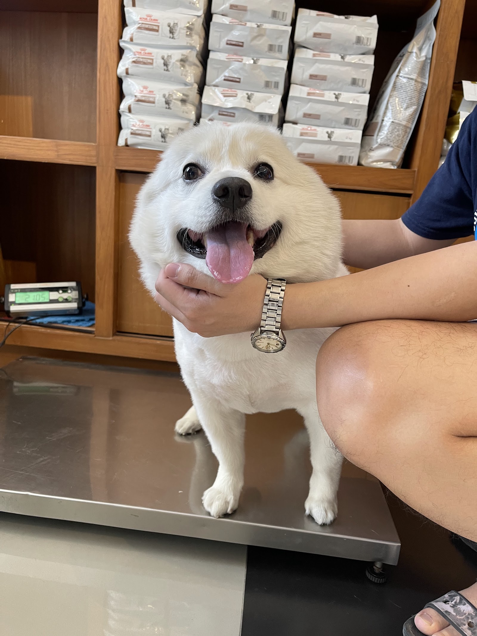 Wags and Purrs Veterinary Clinic
