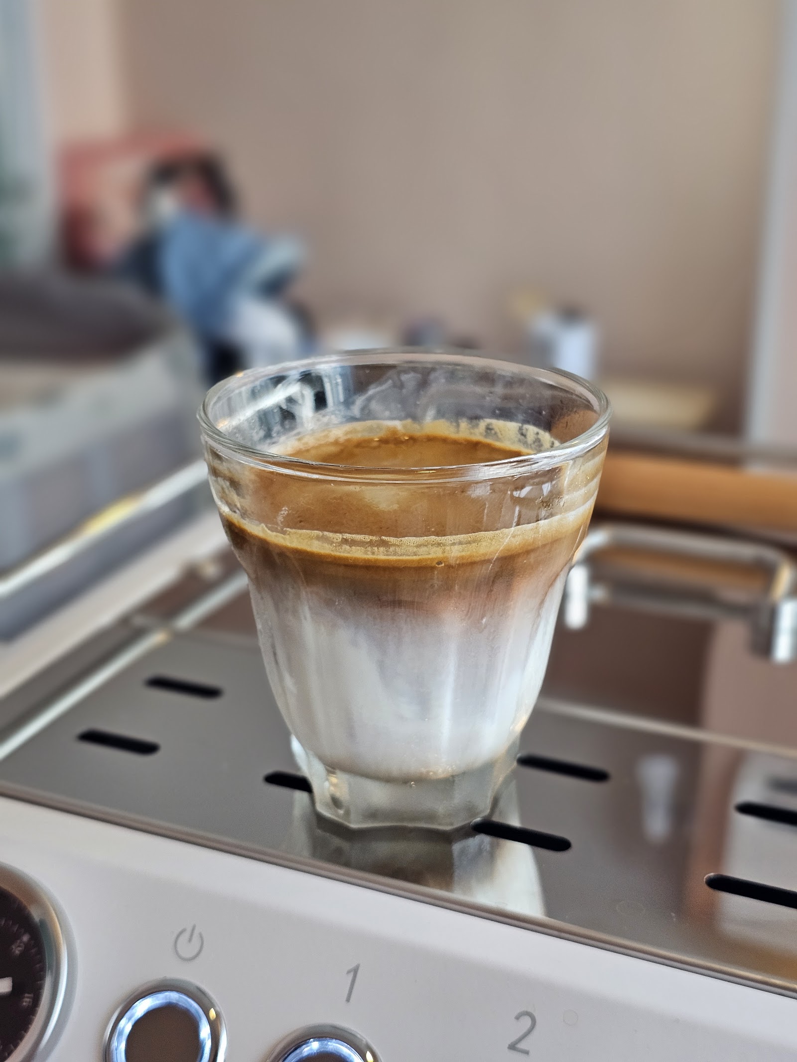 Charconar Cat Hotel & Home Coffee