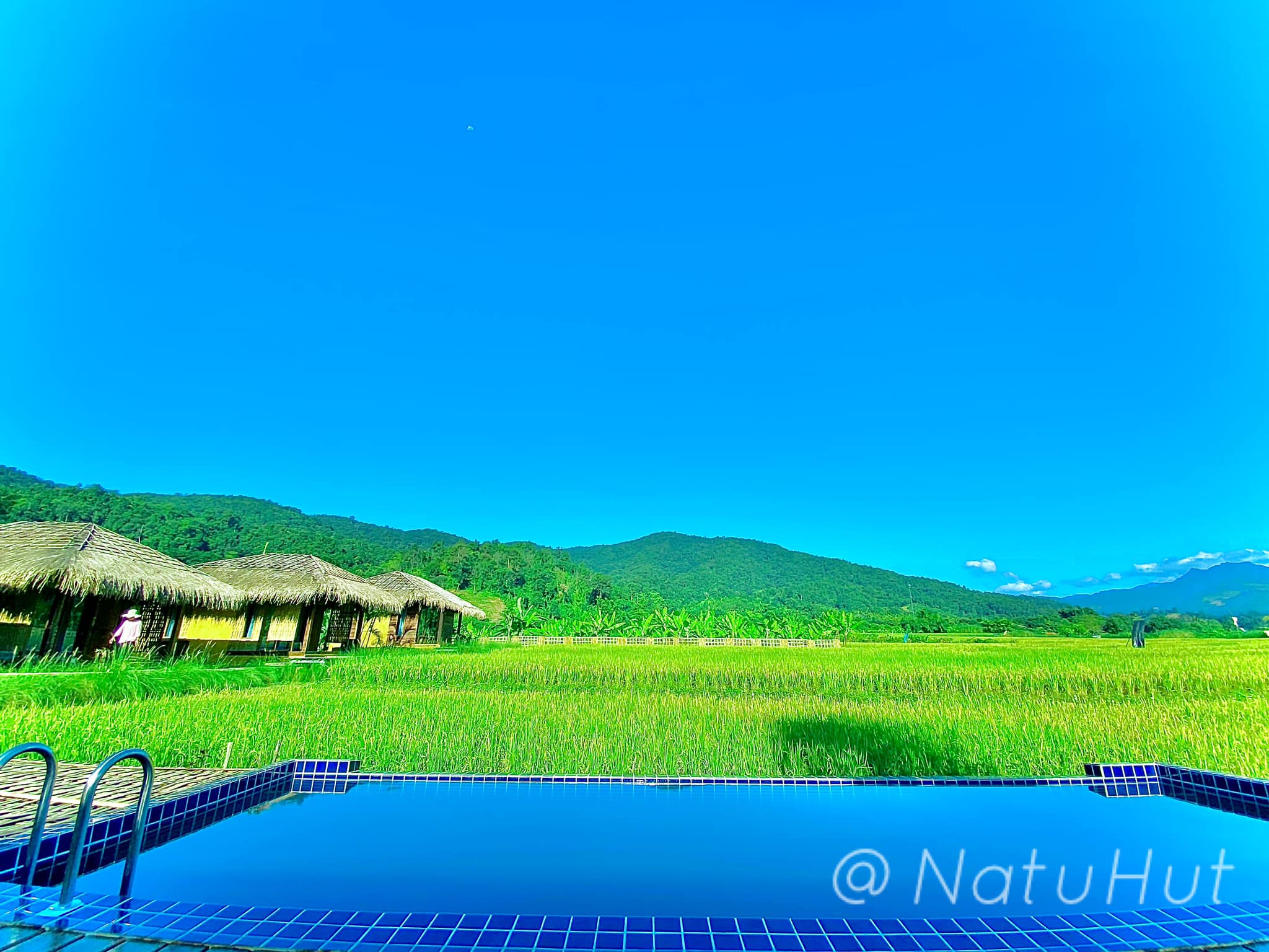 Natu Hut Farmstay & Cafe