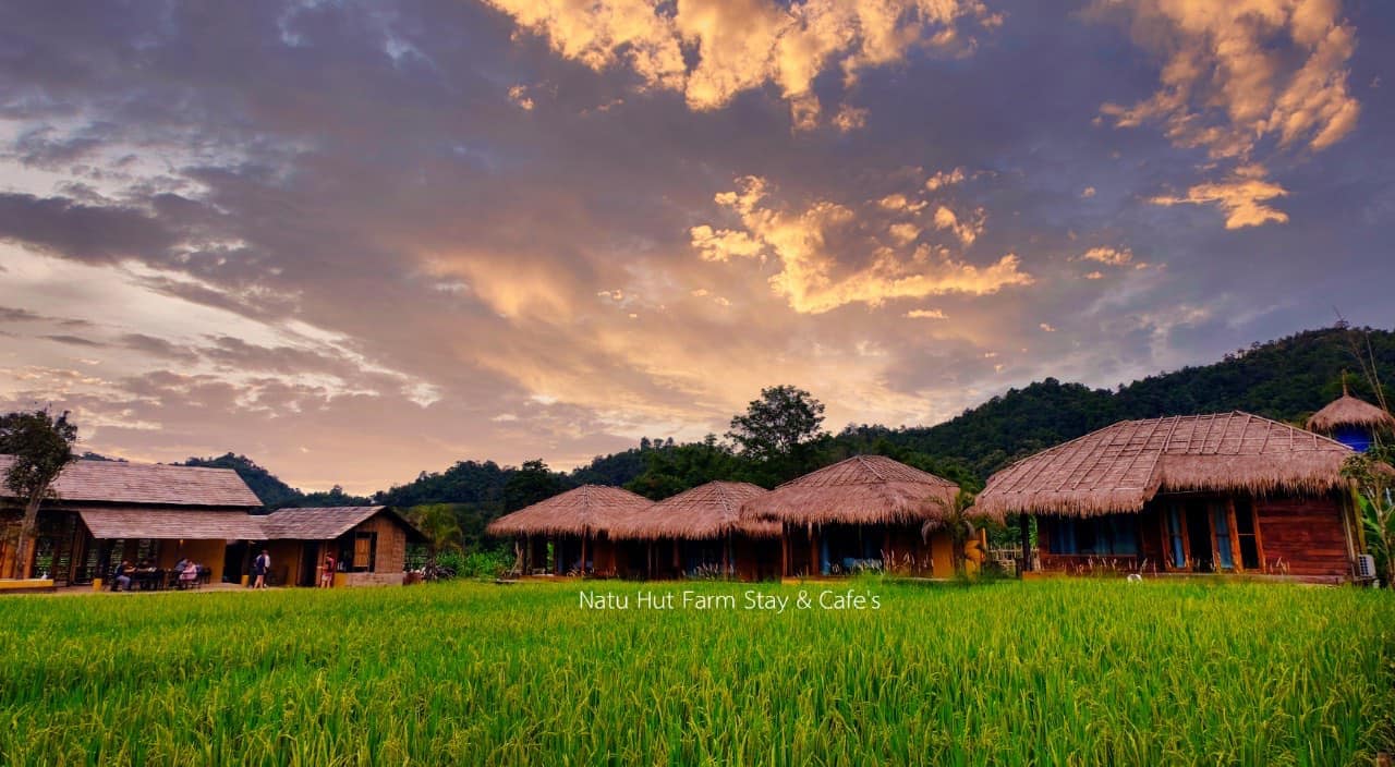 Natu Hut Farmstay & Cafe