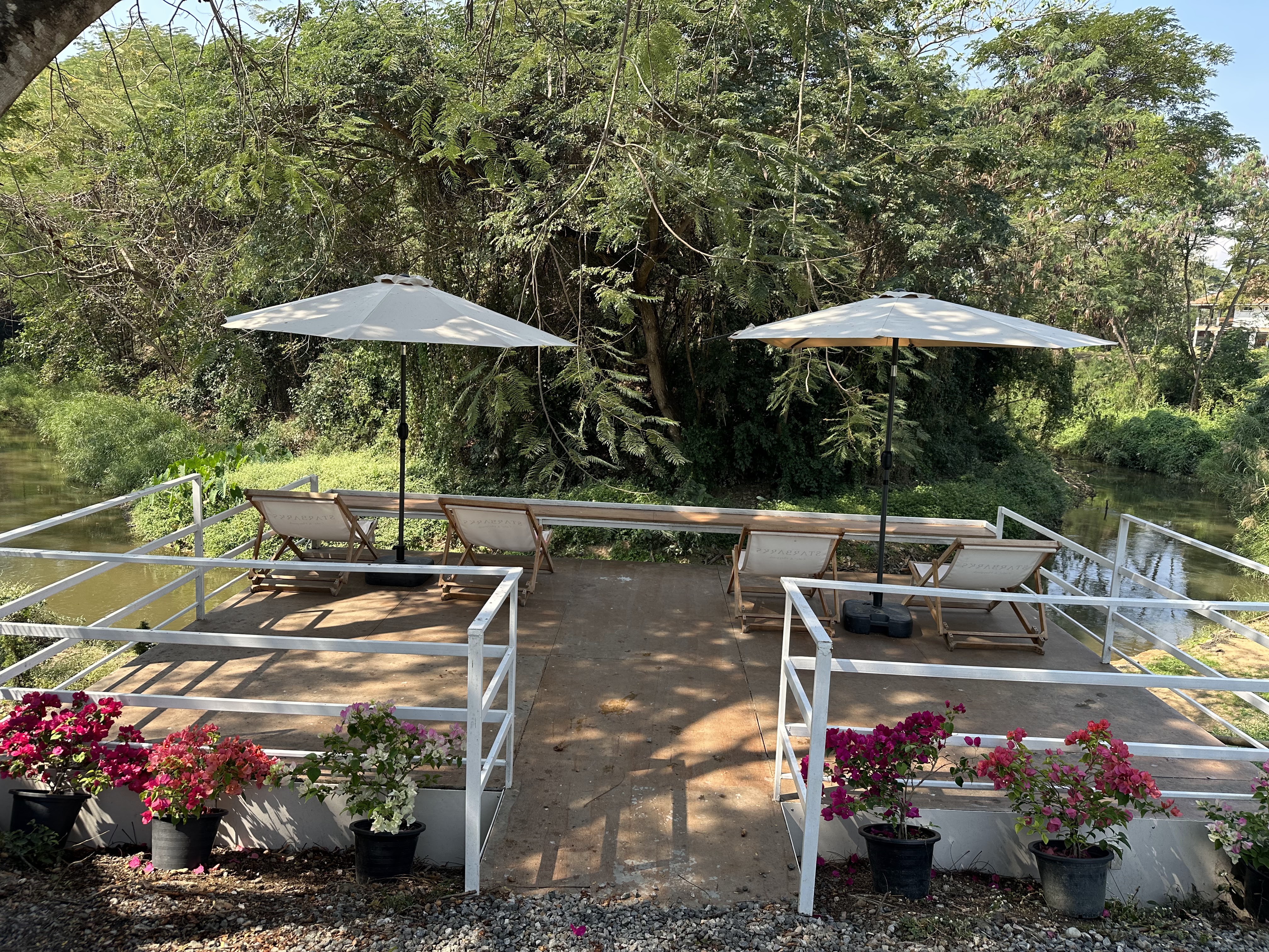 Starbarks Cafe and Playpark