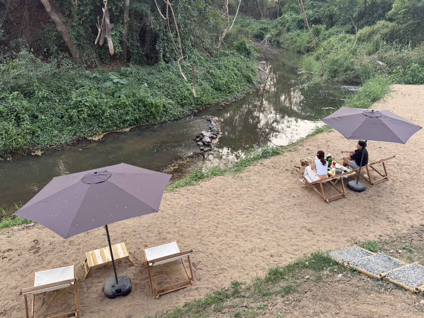Starbarks Cafe and Playpark